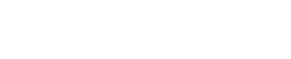 SEE Foundation Inc.